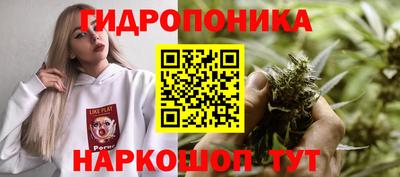 шишки Абакан