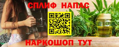 шишки Абакан