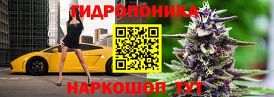 шишки Абакан