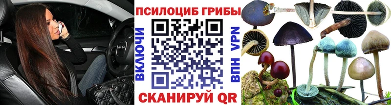 ссылка на мегу ссылка  Алушта  Псилоцибиновые грибы Magic Shrooms  купить наркотик 
