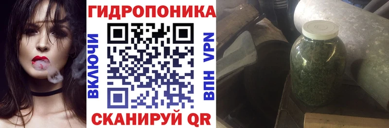 Канабис индика купить закладку Алушта